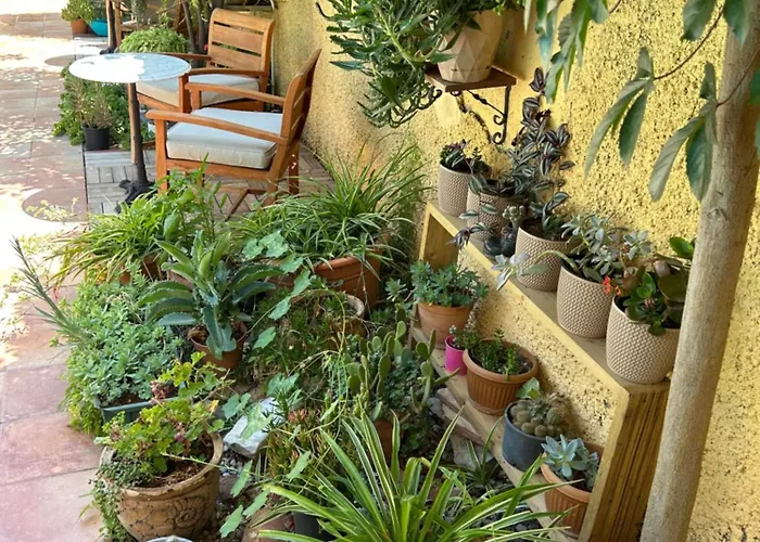 Danlin 2* Гёчек