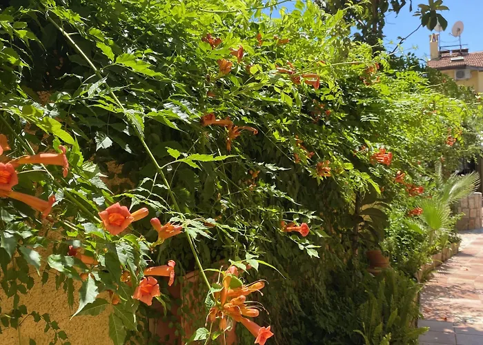 Danlin 2* Гёчек