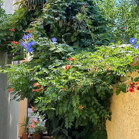 Отель Danlin Гёчек